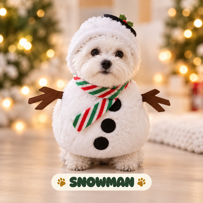 Christmas Pet Costume